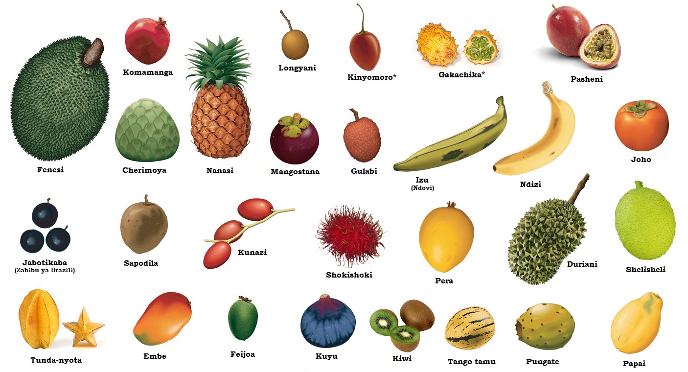 Назови плодовые. Тропические фрукты таблица. Экзотические фрукты названия. Тропические фрукты названия. Тропические фрукты и ягоды названия.