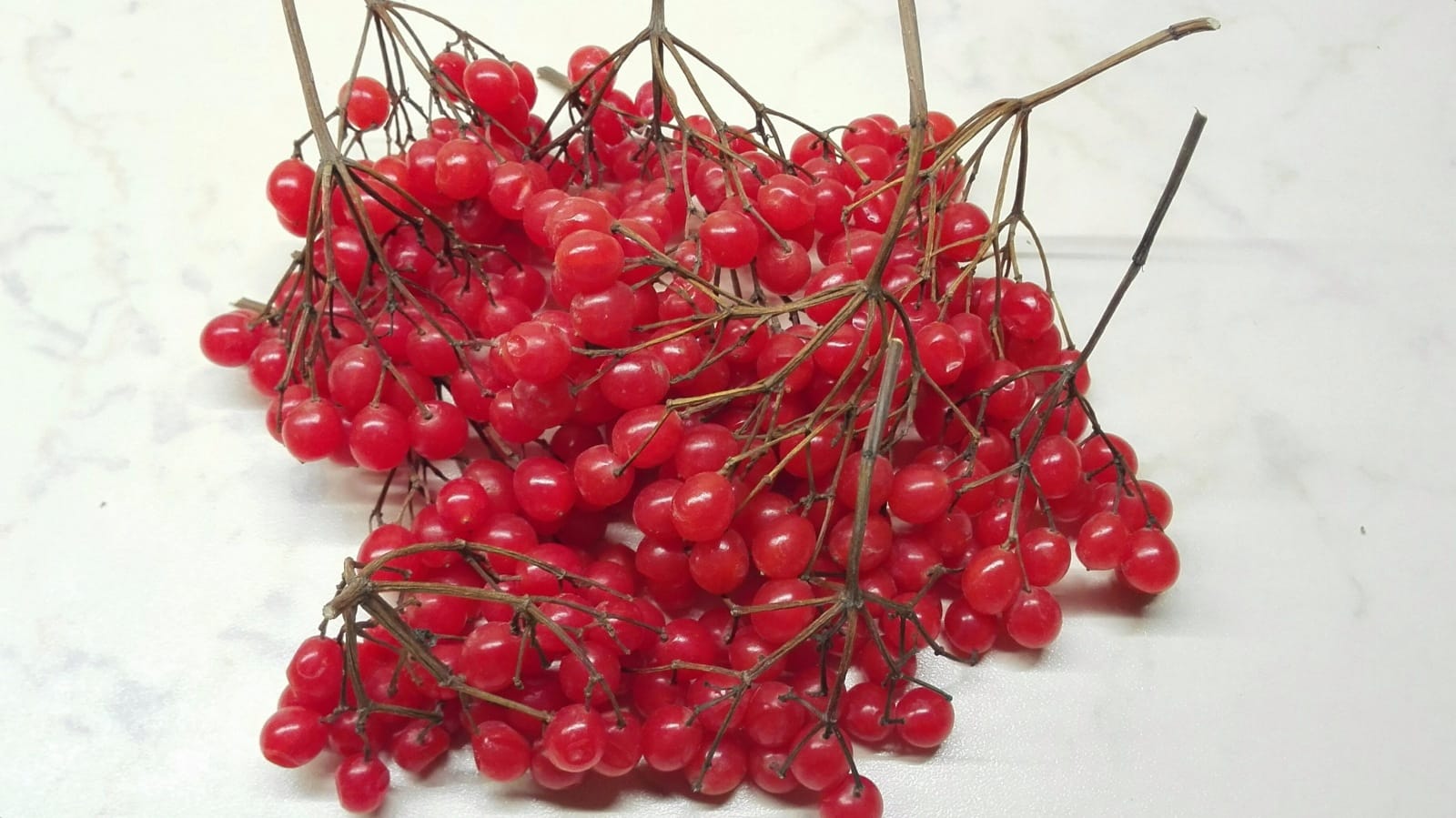 Калина красная ягоды (100 гр)