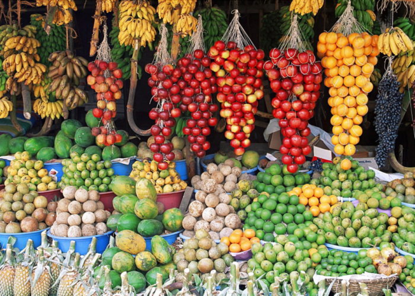 Яблоко шри ланка. Шри-Ланка фрукты. Шри Ланка рынок фрукты. Экзотические фрукты Шри Ланки. Фрукты из Шри Ланки.
