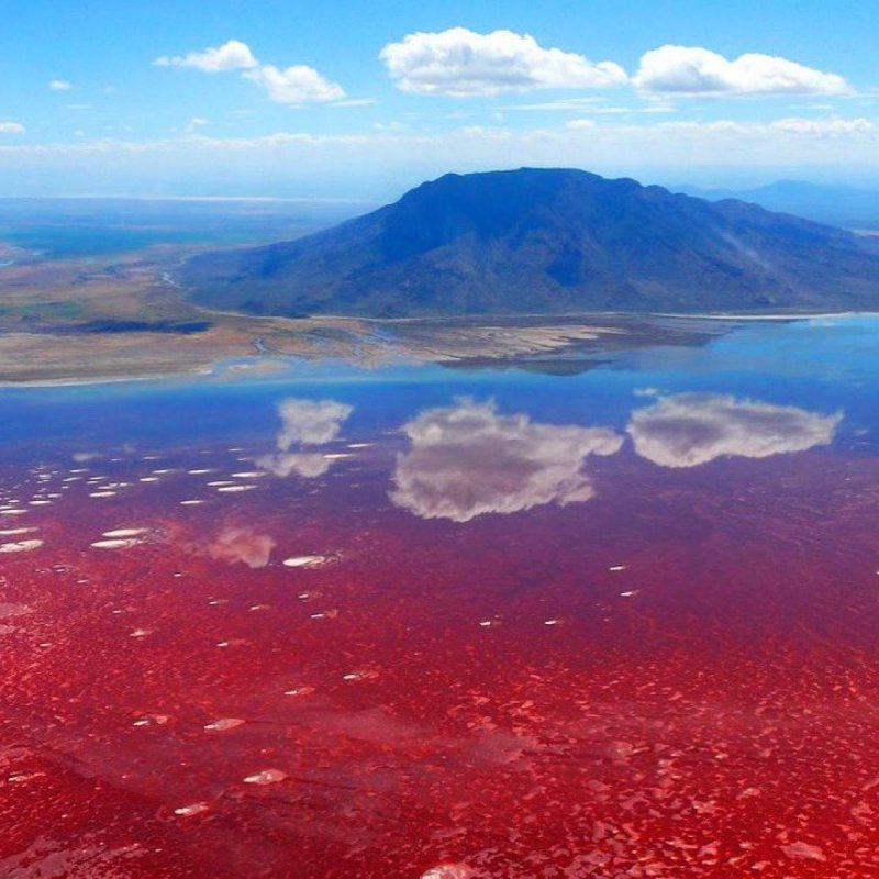 Соленое озеро в Танзании, красиво и опасно 