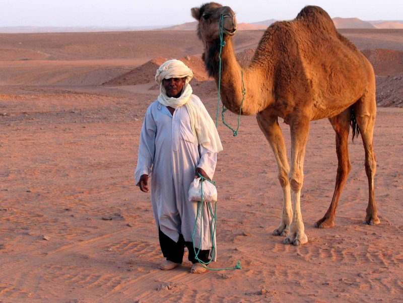 Бедуины Африки