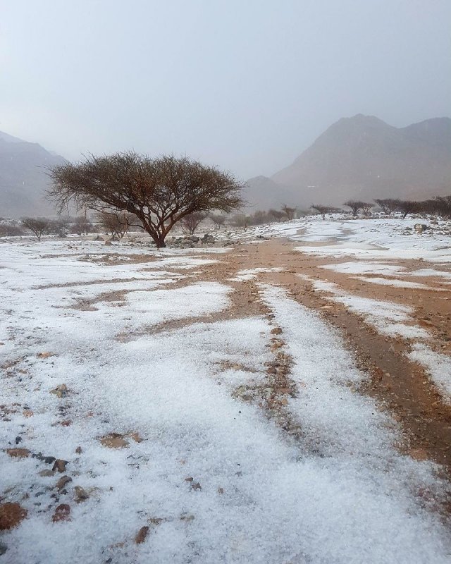 Снег в пустыне