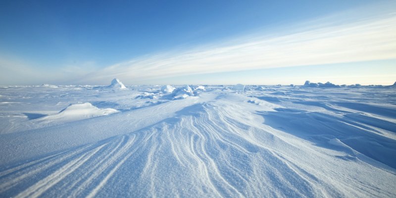 Полярный пояс Арктическая пустыня