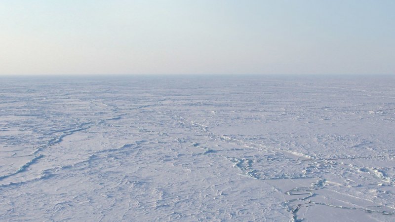 Антарктическая Полярная пустыня