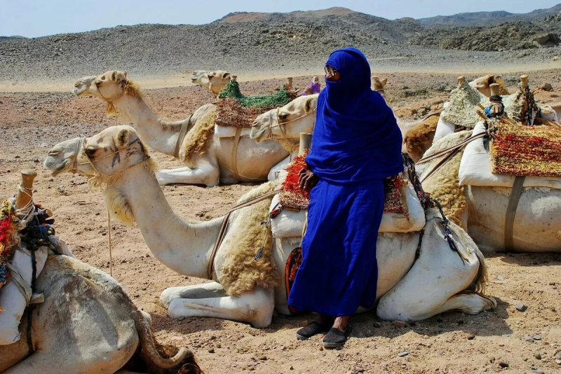 Бедуины в Египте