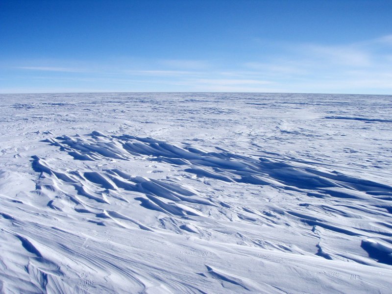 Арктика Арктическая пустыня