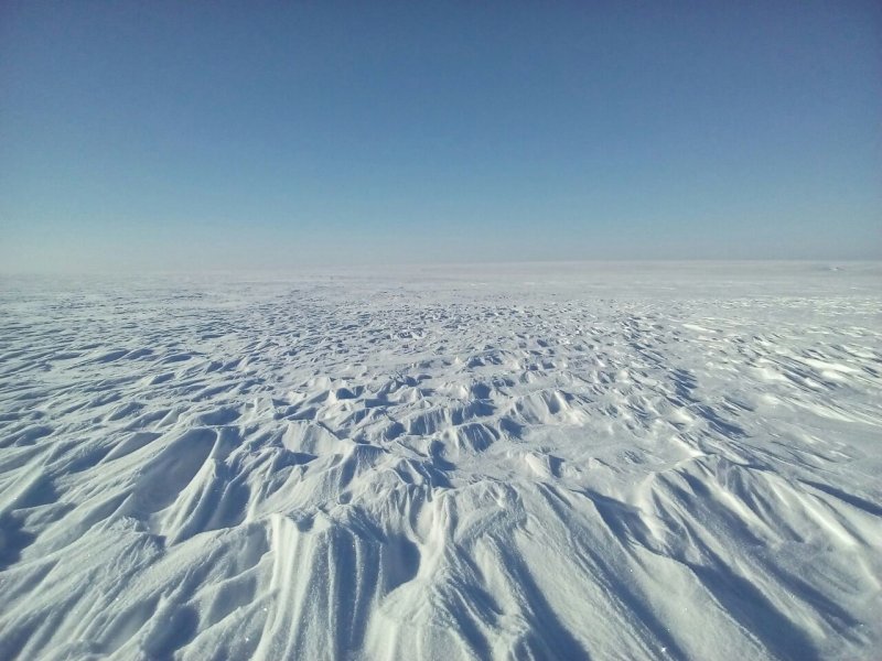 Арктика Северный полюс