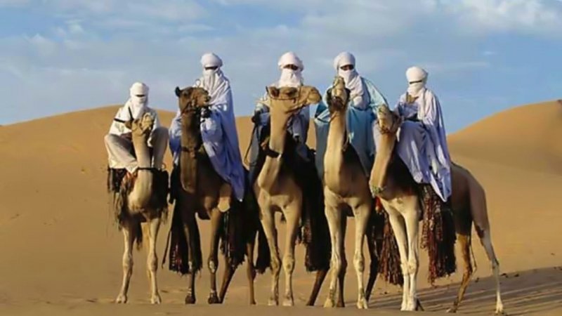 Туарег. Воин пустыни