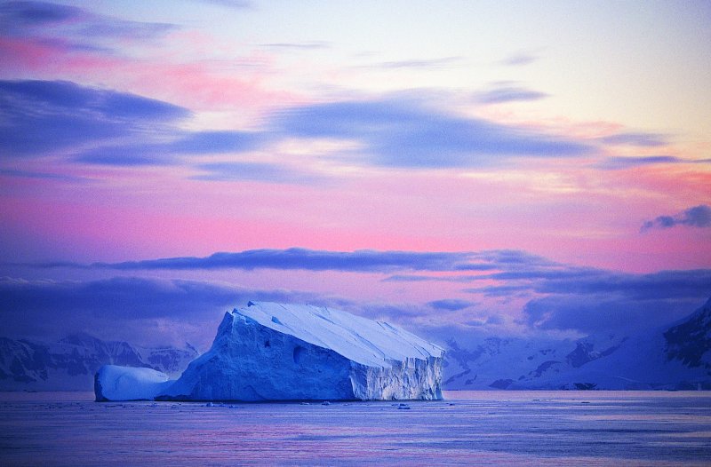 Арктикс Северный полюс