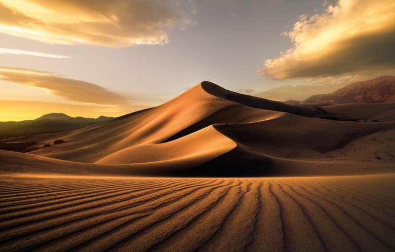 Барханы и дюны в пустыне