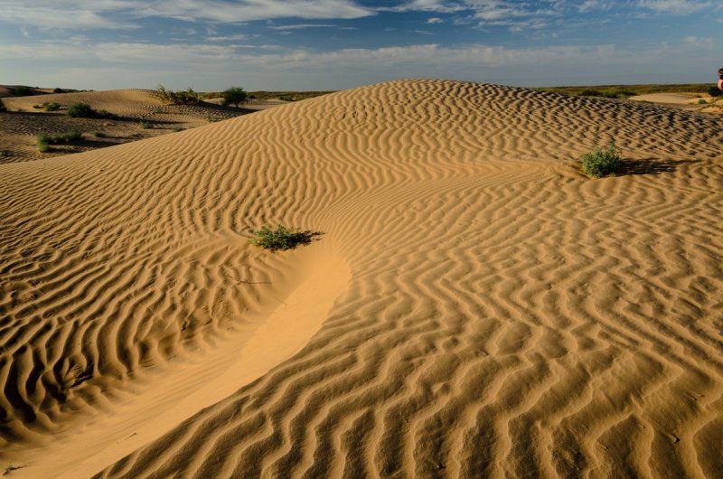 Оазис в пустыне Кызылкум