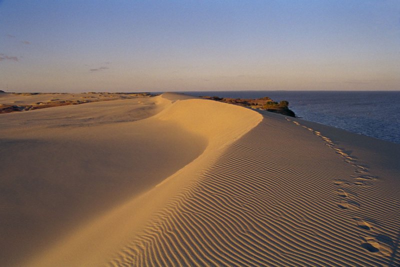 Песчаные дюны Куршская коса