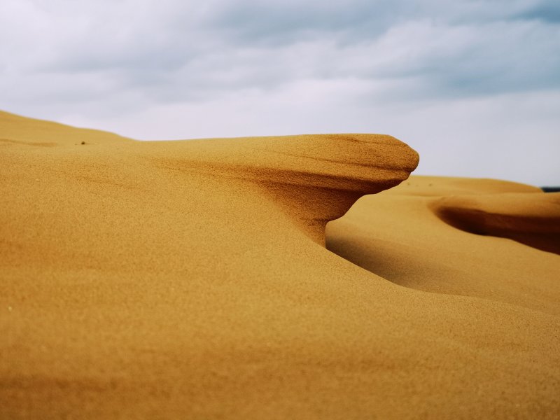 Астрахань полупустыня пустыня