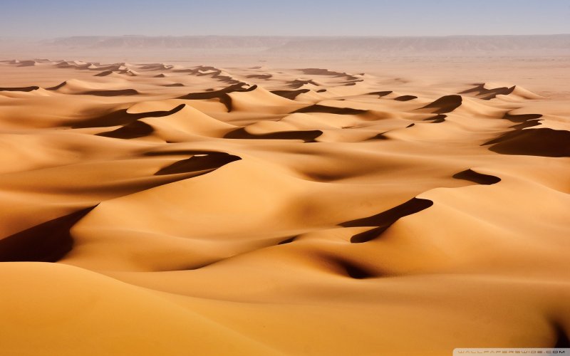 Береговая пустыня Намиб