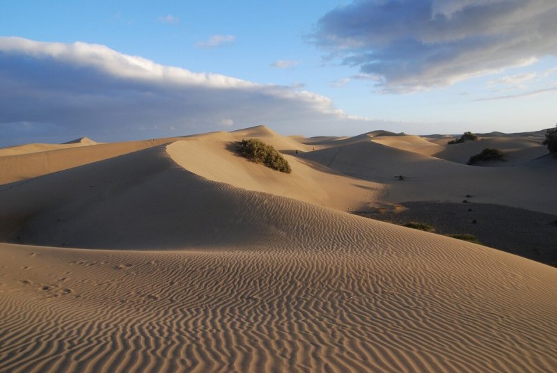 Песчаные дюны в сычёво