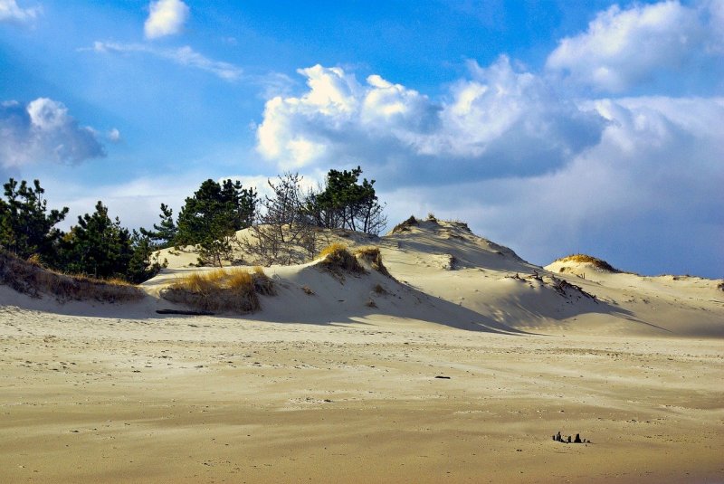 Сычево песчаные дюны пляж