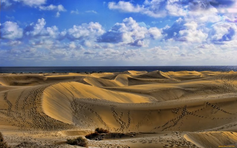 Параболистическая Песчаная Дюна