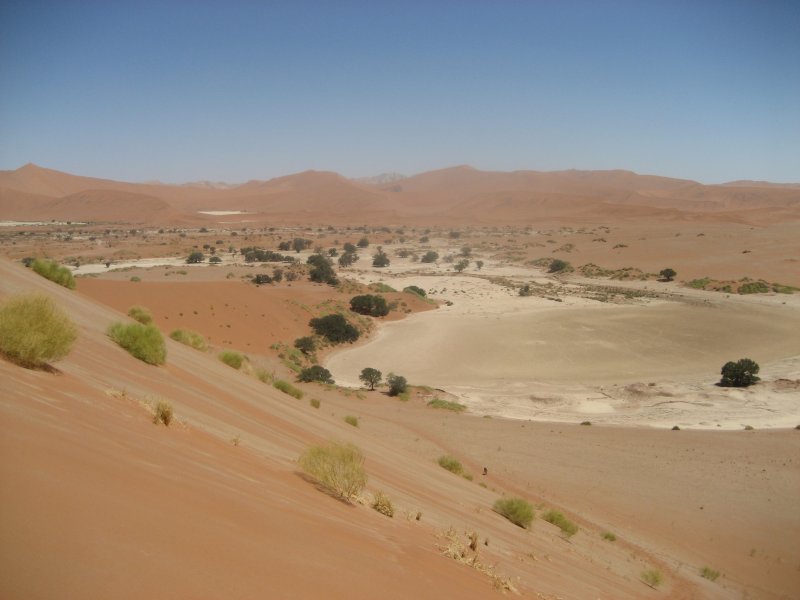Тундра степь пустыня