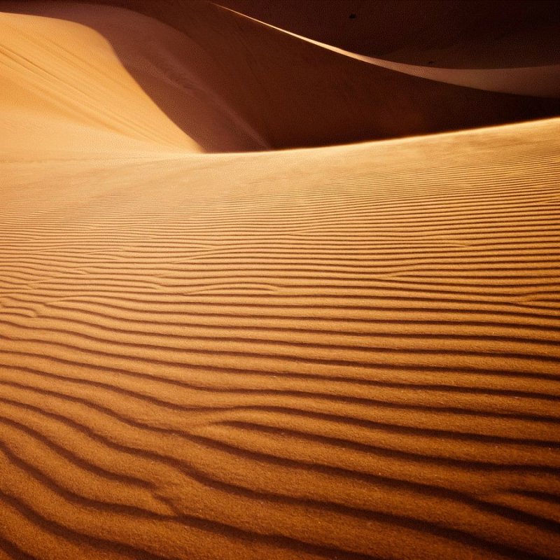 Дюна песчаный холм