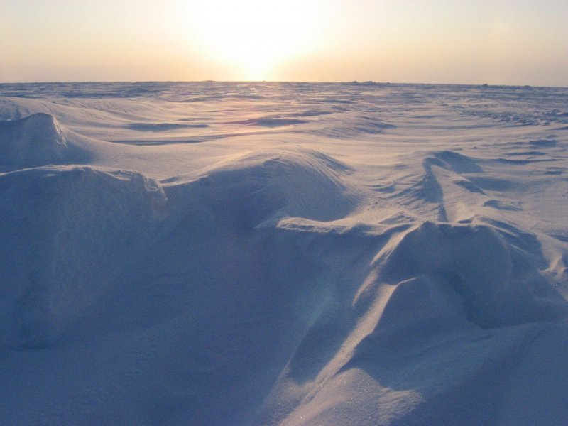 Зона арктических пустынь Ледяная зона