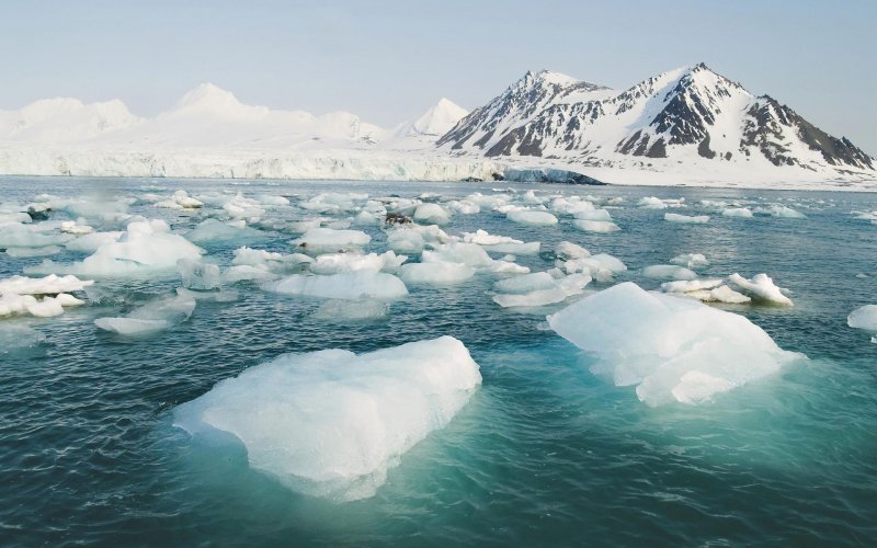 Северный полюс Северный Ледовитый океан
