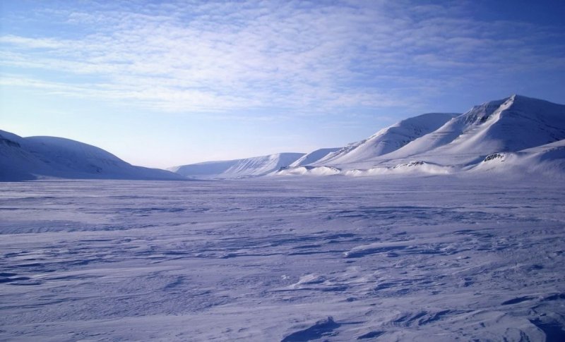 Арктическая тундра Канада