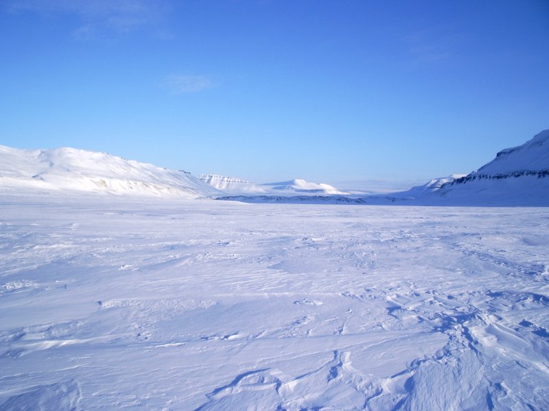 Антарктида Арктическая пустыня