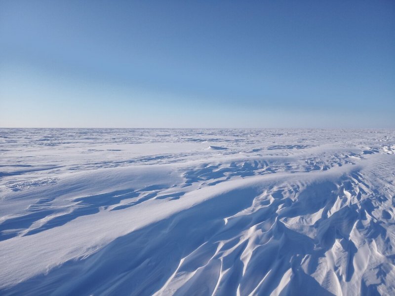 Арктика тундра Ледяная пустыня Гренландия