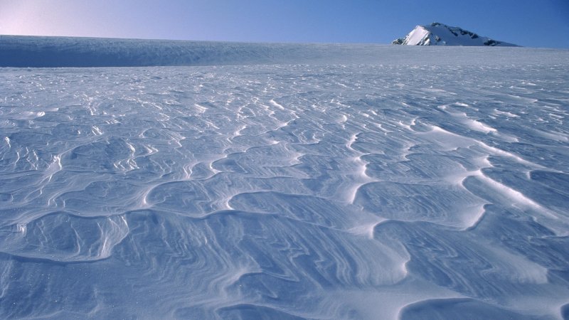 Арктические пустыни равнинные участки