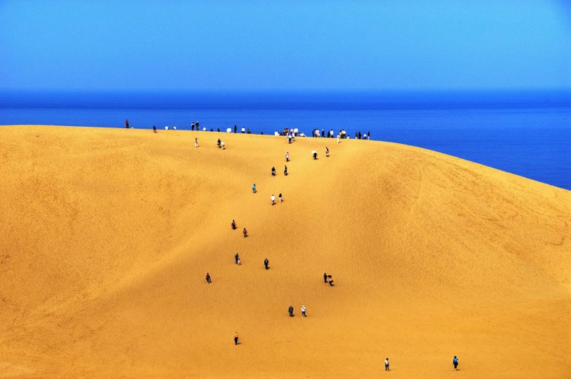 Растительный мир Чарских Песков