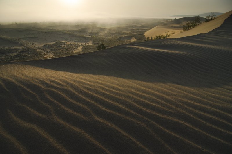 Пустыня Чарские Пески климат