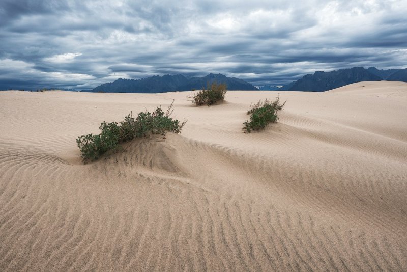 Great Sand Dunes National Park Америка