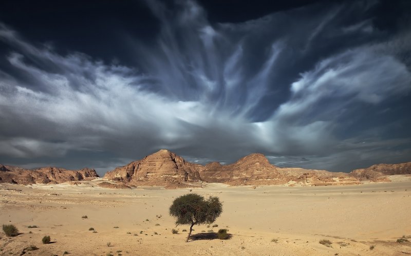 Небо в пустыне