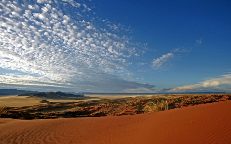 Пустыня Нью Мексико