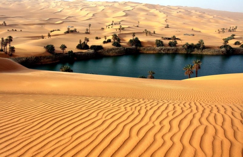 Оазис ливийской пустыни