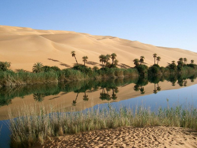 Пустыня сахара Оазис