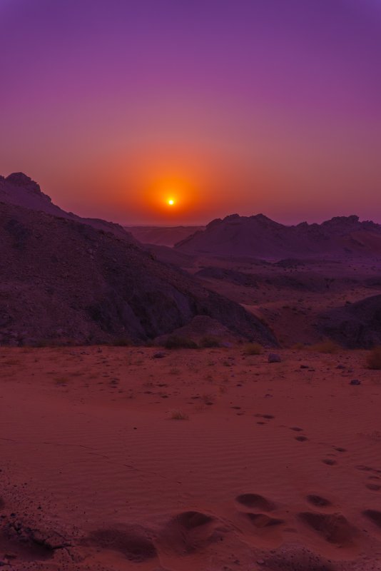 Рассвет в пустыне