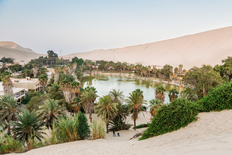 Природа пустыня Оазис