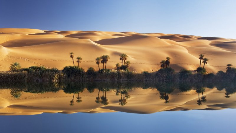 Сахара Оазис Египет