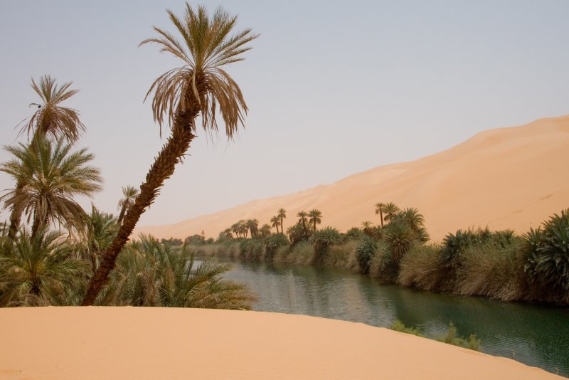Сахара Оазис Нил