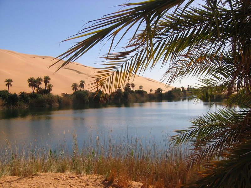 Пустыня Эль Хамад