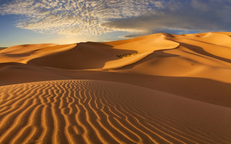 Климат пустыни Гоби