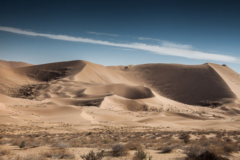 Gobi пустыня