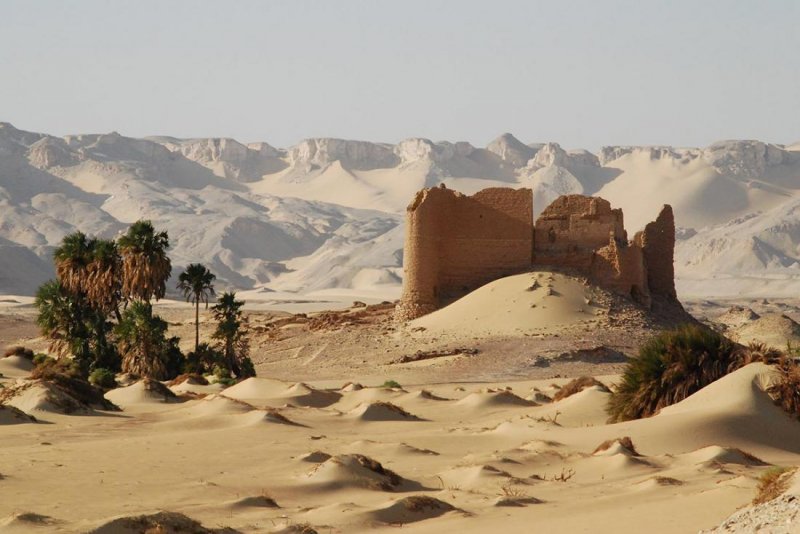 Пустыня Каракум Оазис