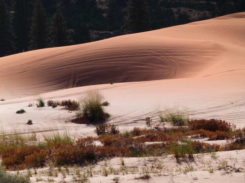 Песчаные дюны Орегон Флоренс