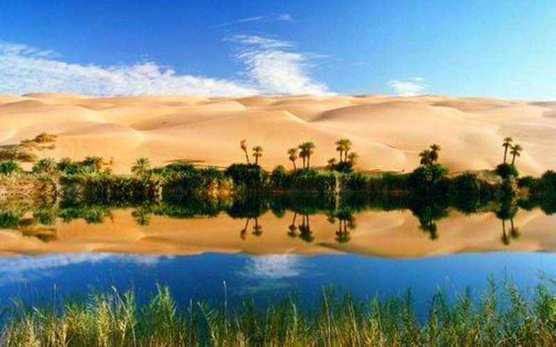 Крупный Оазис в ливийской пустыне
