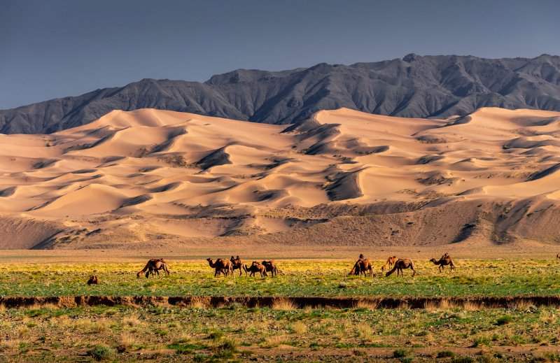 Монголия Хермен Цав