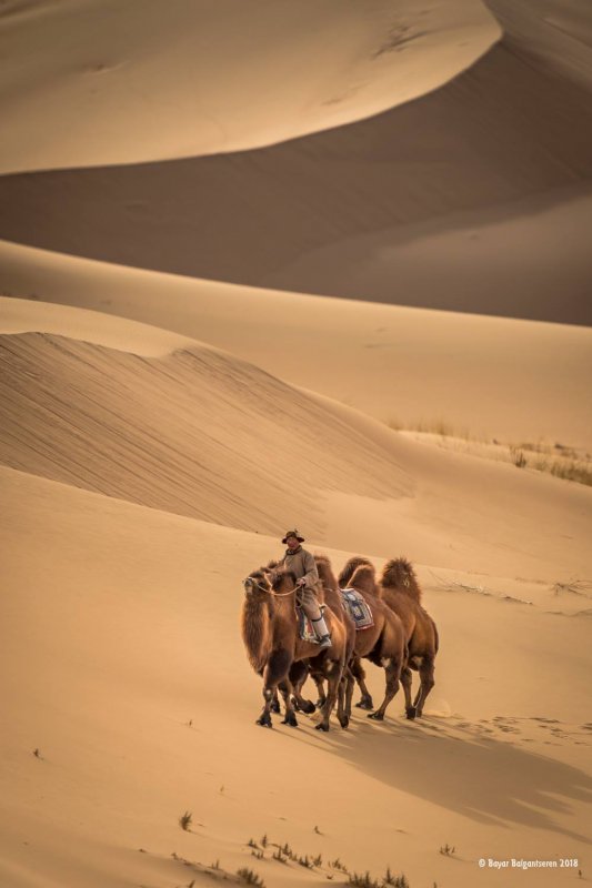 Республика Монголия пустыня Гоби военные