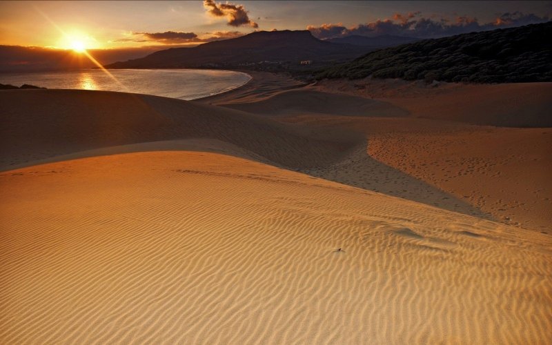 Песчаный Бархан и Оазис
