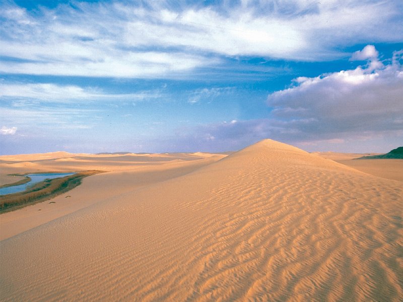 Природа пустыня